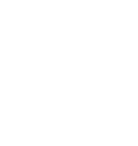 Secret Gift